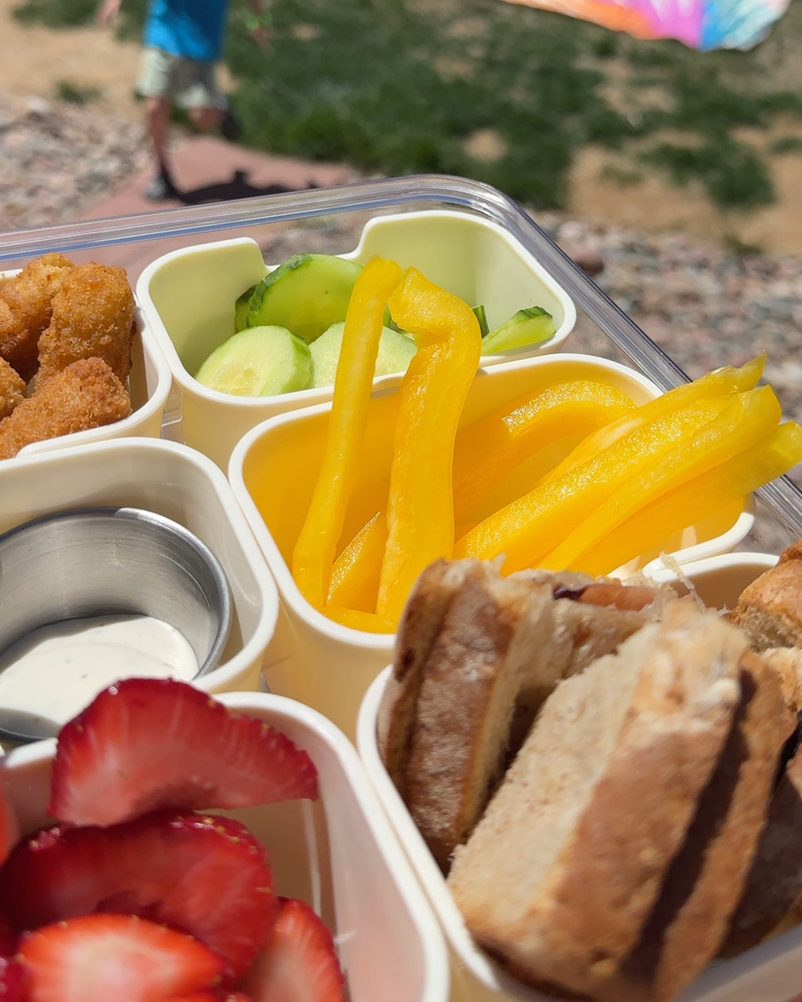 The ultimate snack tray container for summer 

#LTKHome #LTKKids #LTKSeasonal