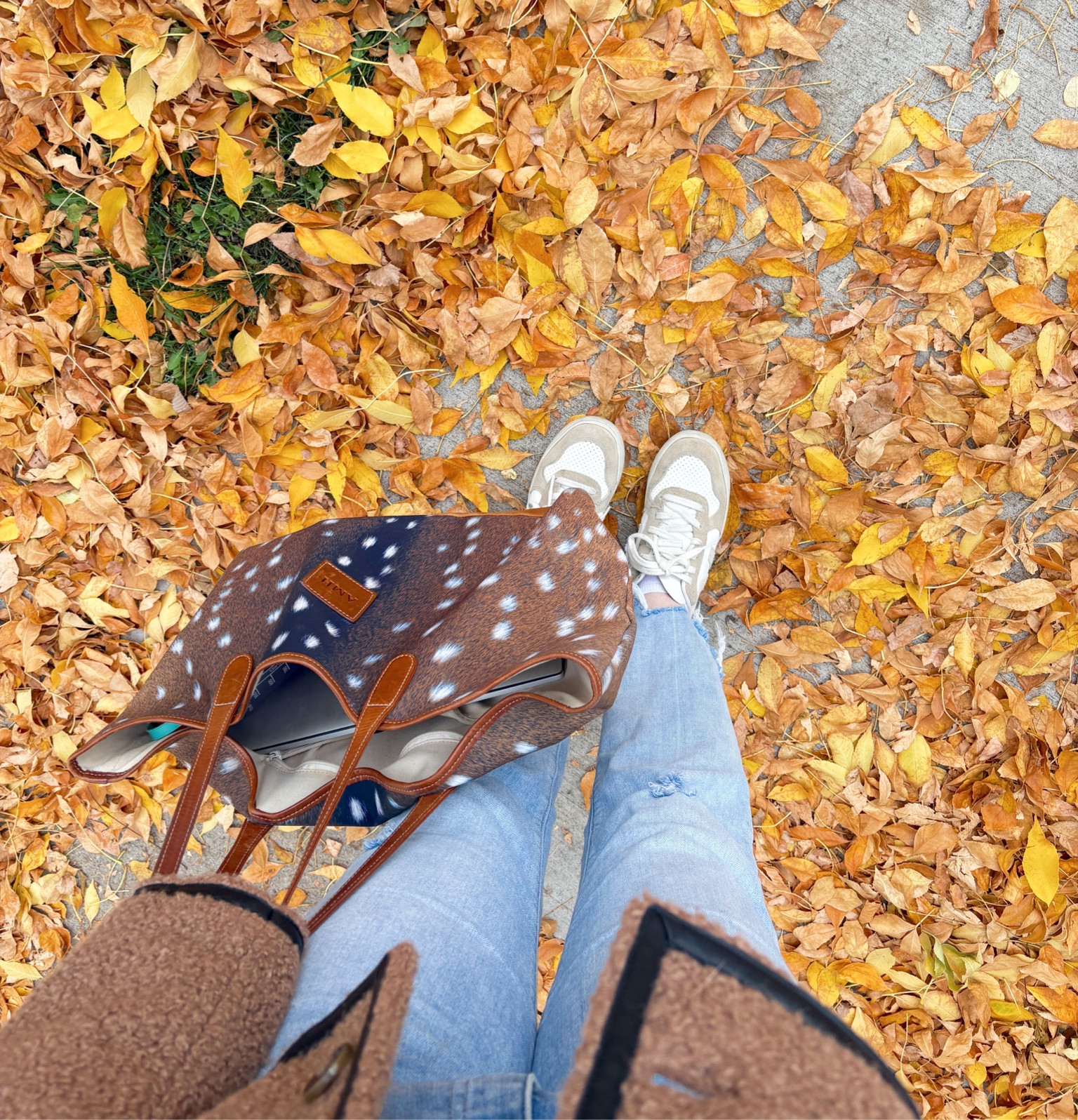 Fall 🍂🤎

#LTKStyleTip #LTKFindsUnder100 #LTKSeasonal