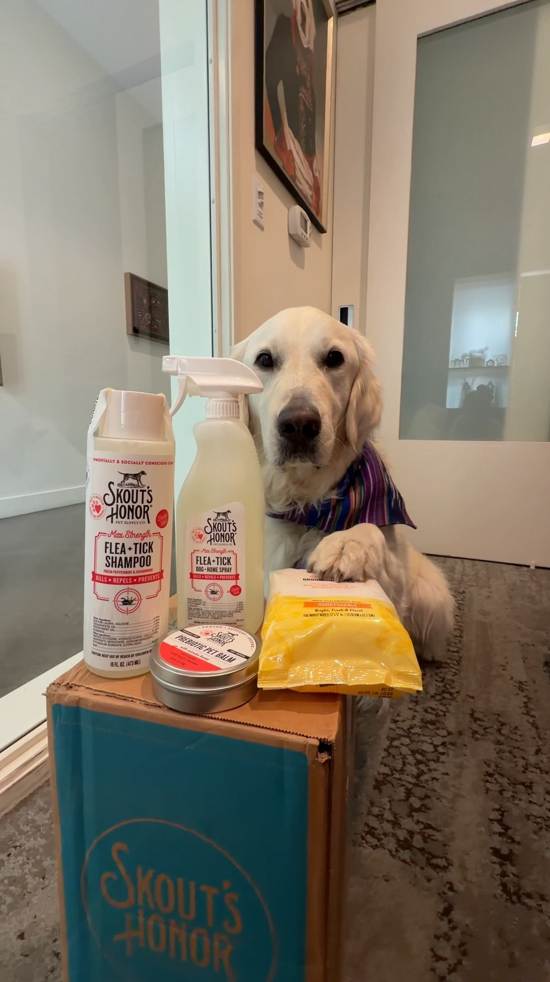 Skout’s Honor:
• hydroclear grooming wipes
• flea + tick shampoo
• flea + tick dog & home spray
• prebiotic paw balm
