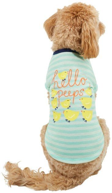 WAGATUDE Hello Peeps Dog T-Shirt, Green, 3X-Large - Chewy.com | Chewy.com