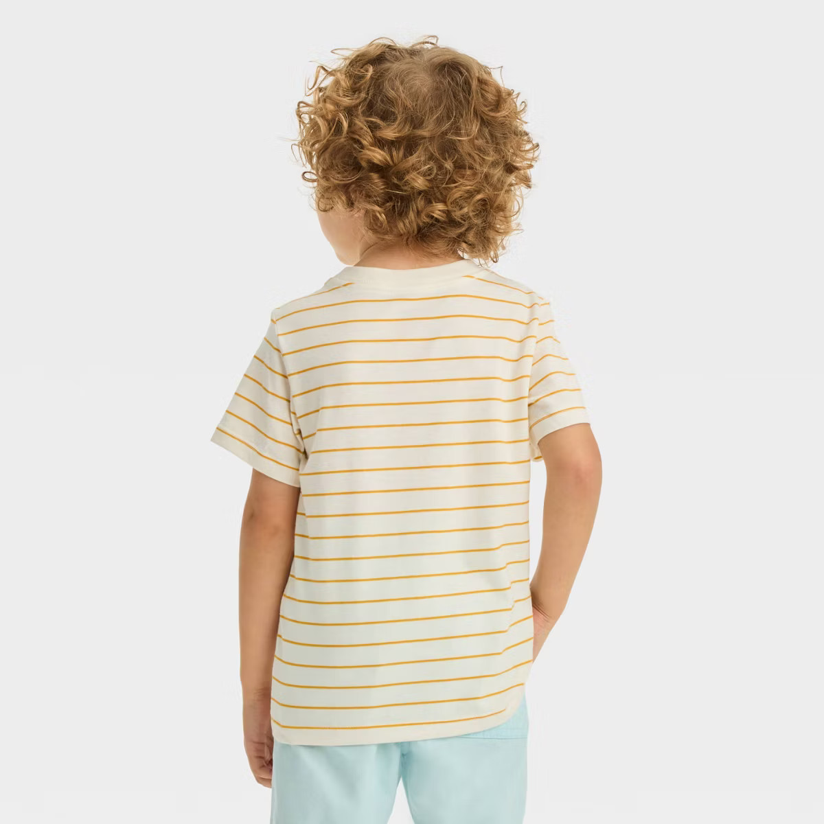 Toddler Boys' Short Sleeve Jersey Knit T-Shirt - Cat & Jack™ | Target