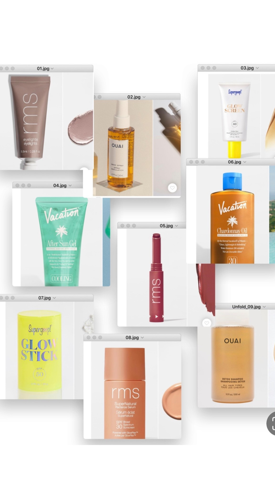 The Busy Beach Bum ☀️🐬 