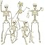 DINESIL 6 Packs Posable Halloween Skeleton Decorations, 16" Full Body Halloween Plastic Skeleton ... | Amazon (US)