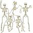 DINESIL 6 Packs Posable Halloween Skeleton Decorations, 16" Full Body Halloween Plastic Skeleton ... | Amazon (US)