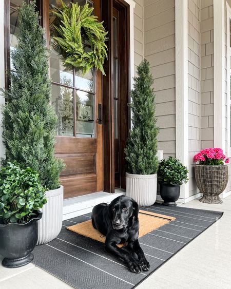 Pretty faux green plants are perfect for a spring porch in colder temps. 

Porch decor, outdoor plants, outdoor planters, outdoor rugs, food wreaths, door mat, faux flowers, home decor, spring decor  

#LTKSeasonal #LTKFind #LTKhome
