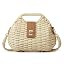 Casual Straw Beach Bags For Women Dumpling Bag Rattan Purses Summer Straw Crossbody Woven Handbag... | Amazon (US)