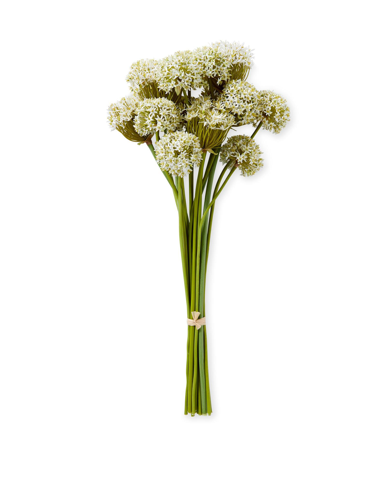 Faux Allium Bouquet | Serena and Lily