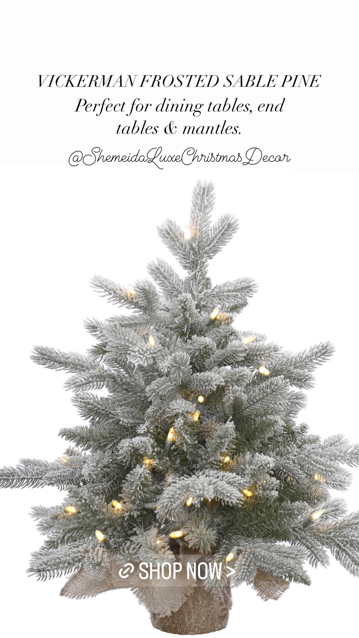 Uplevel your holiday tables with simple touches such as a Frosted Sable Pine Mini Tree from Vickerman. These also make great gifts! 

#LTKHoliday #LTKSeasonal #LTKhome