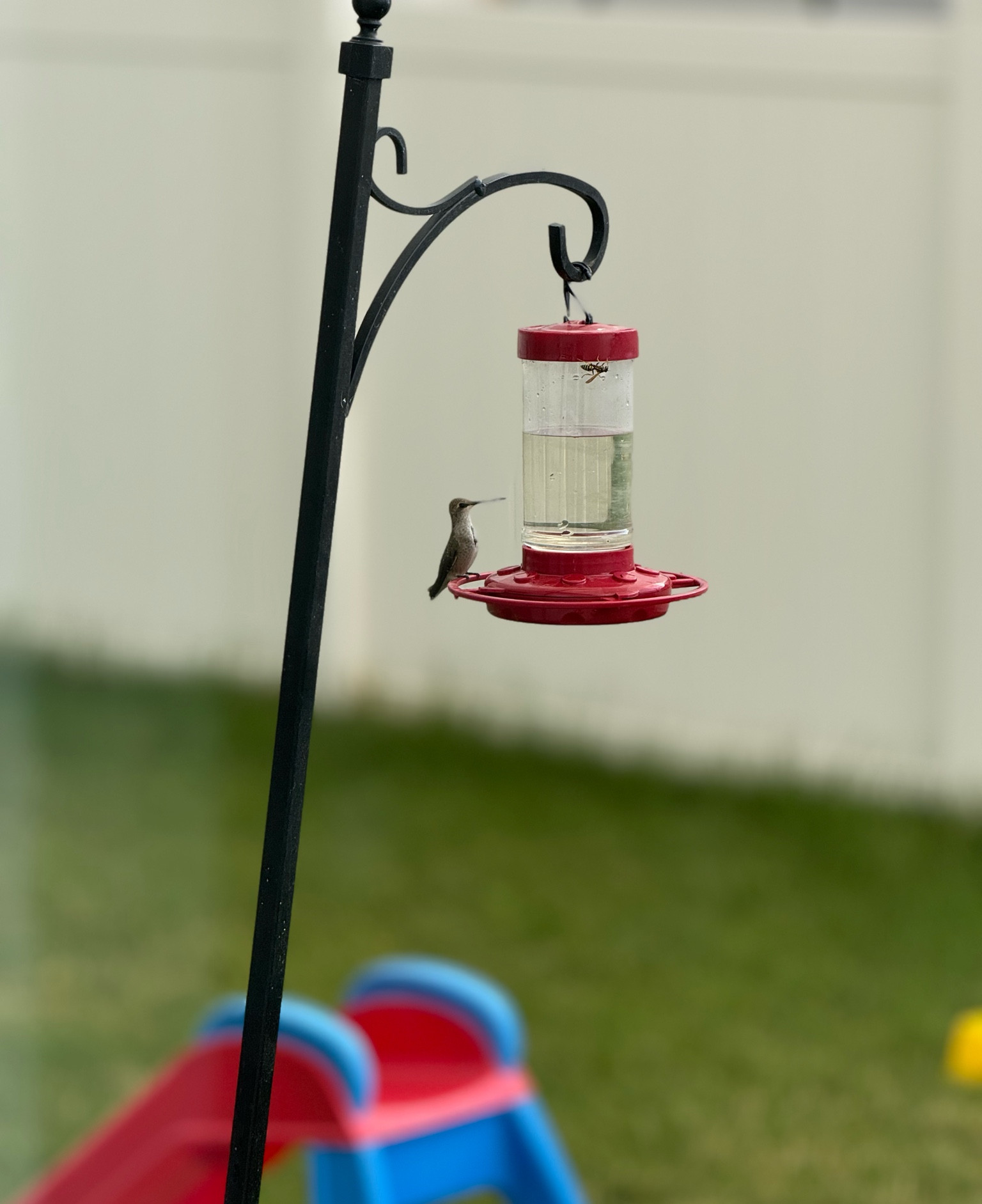 Make your outdoor space enjoyable! 

#LTKHome #LTKFamily #LTKSeasonal