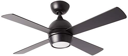 Fanimation Kwad 44 inch Indoor Ceiling Fan with LED Light Kit - Black | Amazon (US)
