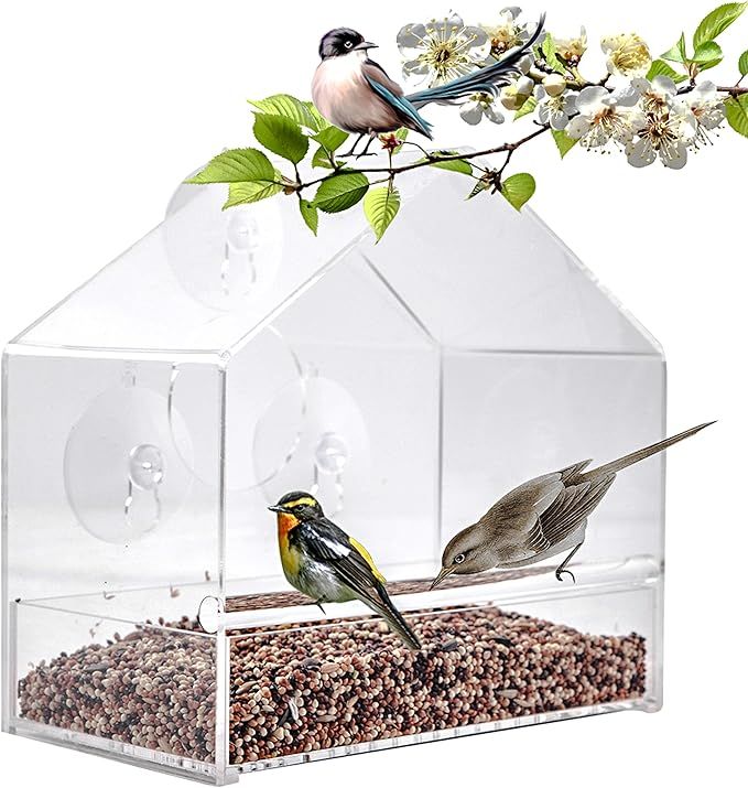 Window Bird Feeder – Transparent Suction Cup Feeding Station – Sliding Seed Tray | Amazon (CA)