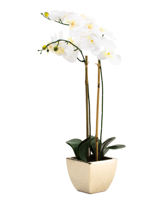 28in natural touch orchid in ceramic pot | Marshalls