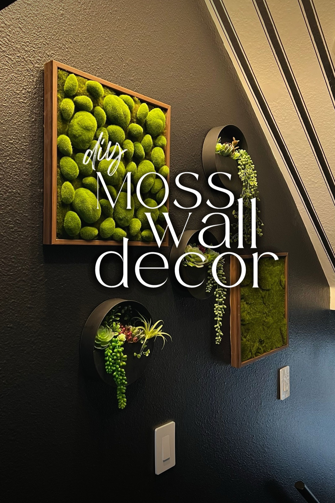 DIY Moss Wall Art Supplies!