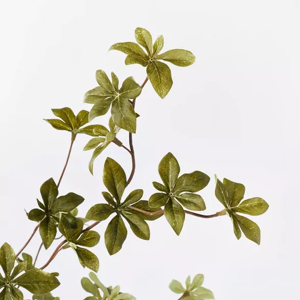 5.5" x 3" Artificial Branch Plant Arrangement in Ceramic Pot - Threshold™ designed with Studio ... | Target