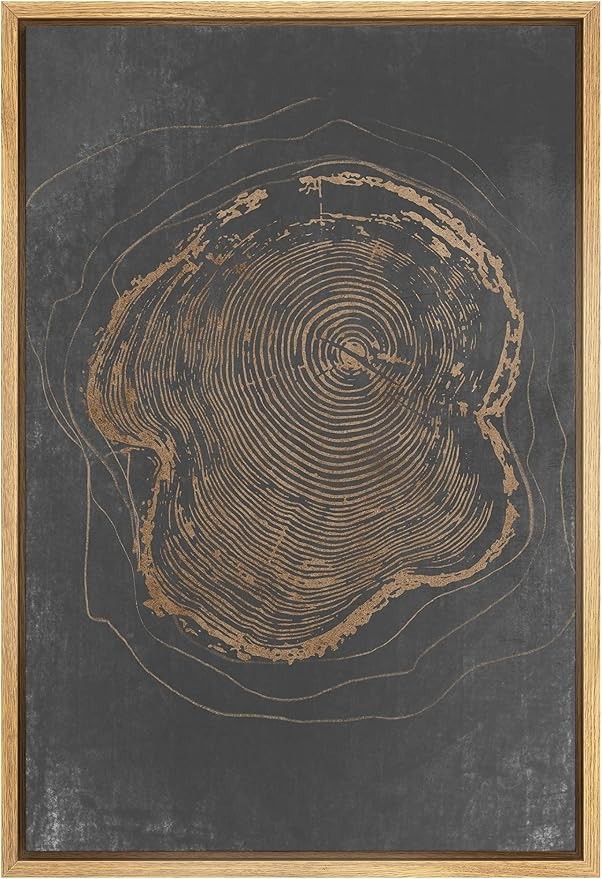 IDEA4WALL Framed Canvas Print Wall Art Brown Gray Country Wood Forest Tree Ring Nature Wilderness... | Amazon (US)