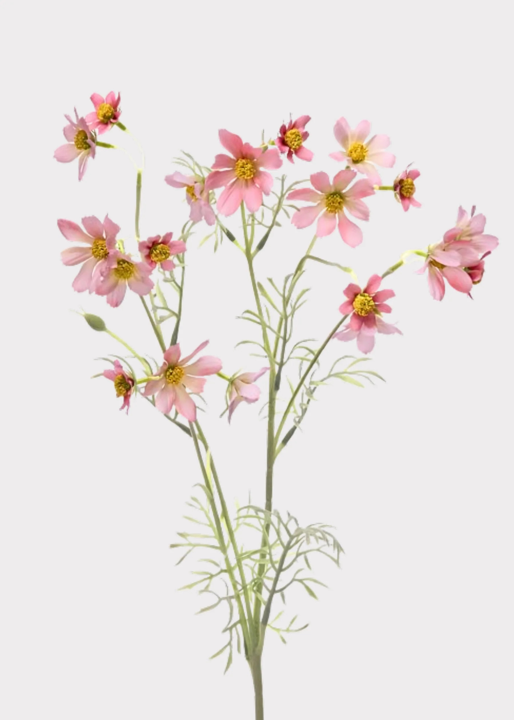 Artificial Meadow Cosmos Wildflower Spray in Pink - 31" | Afloral