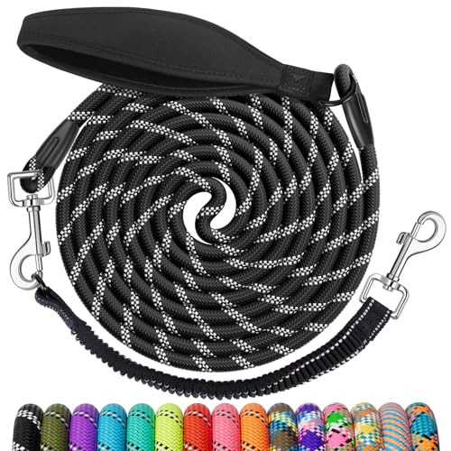 NTR 100FT Dog Leash, Long Dog Leashes with Swivel Lockable Hook & Ergonomic Padded Handle, Detachable Reflective Bungee Training Lead for Walking, Hunting, Camping for Small Medium Large Dog | Amazon (US)