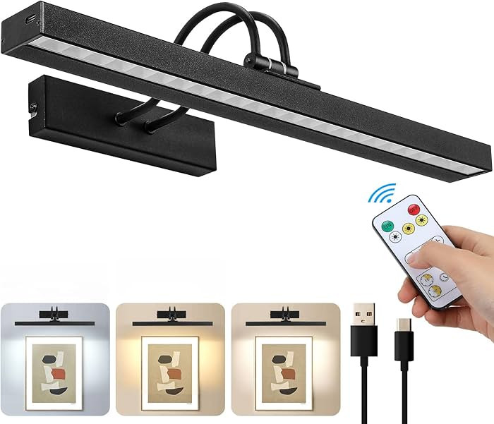 Picture Light Battery Operated, 16in Wireless Picture Lights for Wall with Remote, CCT Dimmable, ... | Amazon (CA)