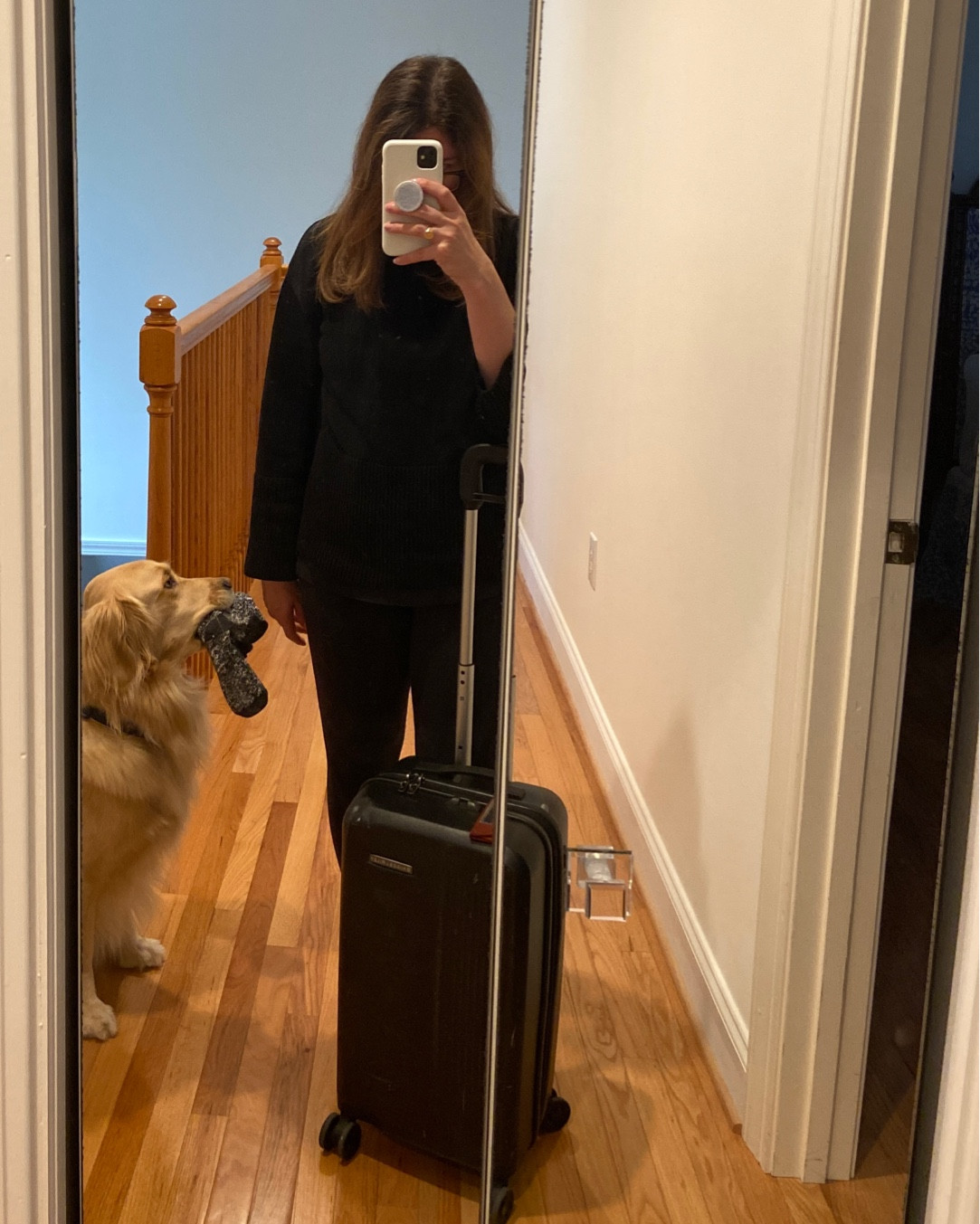 Stripe sweater, turtleneck sweater, black sweater, LTKunder100, oversized turtleneck sweater, travel outfit, home for the holidays 

#LTKstyletip #LTKunder100 #LTKSeasonal