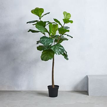 Faux Potted Fiddle Leaf Fig Tree - 5' | West Elm (US)