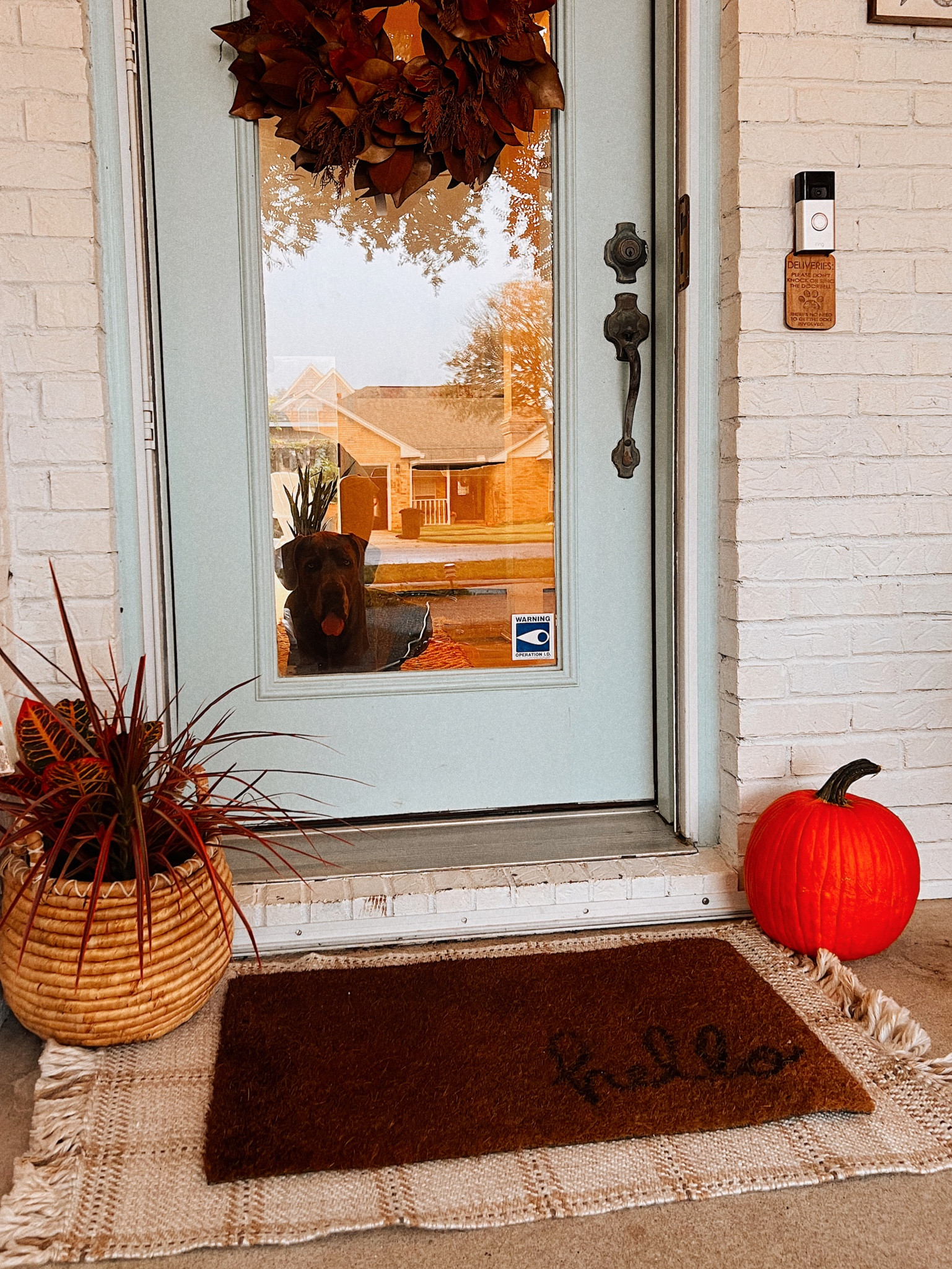  A Florida FALL!🍂🌴🍁🐚🎃

#LTKHalloween #LTKSeasonal #LTKHoliday