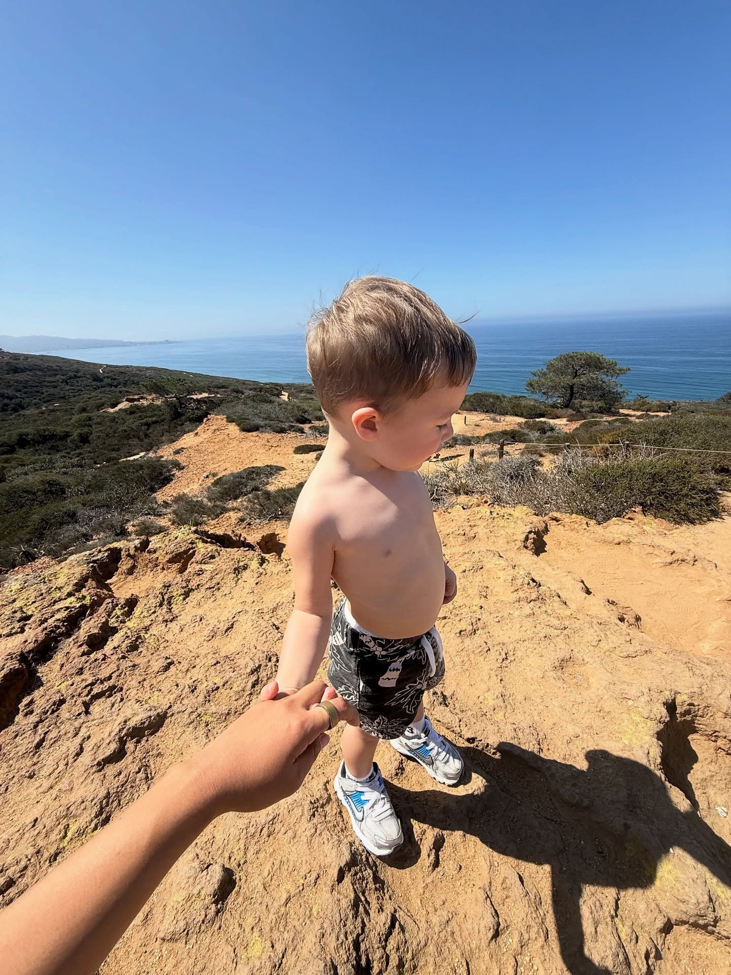 acclimatizing x to sand part 1826391