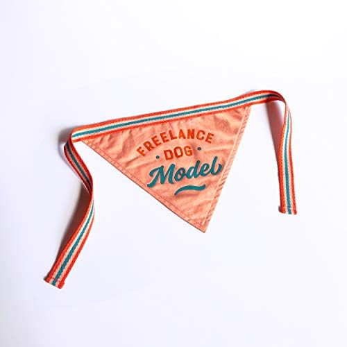 Brass Monkey The Real MVP Dog Bandana – Durable Cotton Pet Bandana, One Size Fits Most – 9” W x 6” H | Amazon (US)