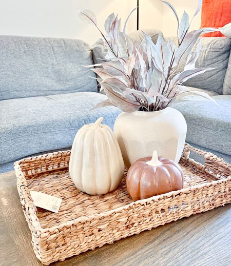 Target Fall Finds! 
This week all Hearth & Hand with Magnolia is 25% off  

#LTKsalealert #LTKSeasonal #LTKhome