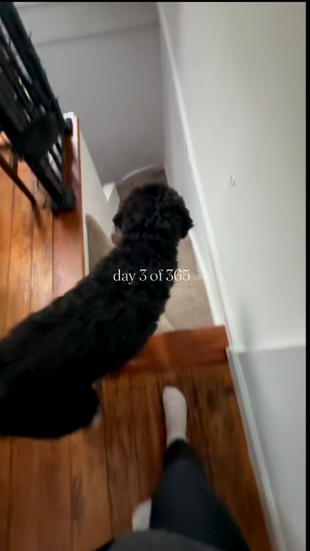 coffee make: ninja
candle sticks: Amazon
leggings: alo

#LTKvlog #LTKmorningroutine #LTKdayinmylife