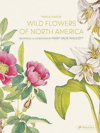 Wild Flowers of North America: Botanical Illustrations by Mary Vaux Walcott | Amazon (US)