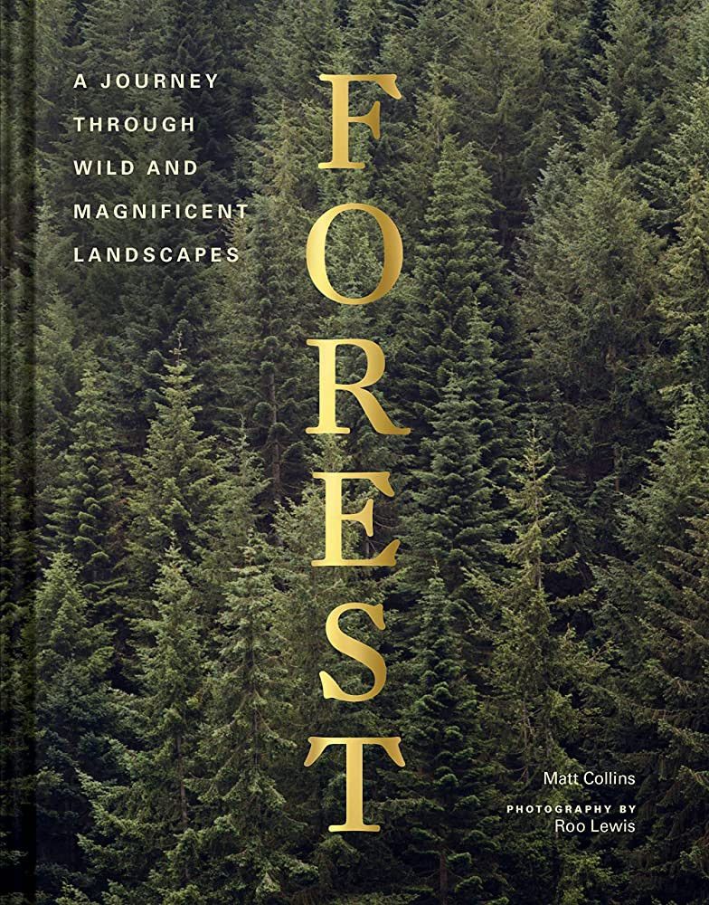 Forest: (Tree Photography Book, Nature and World Photo Book) | Amazon (US)