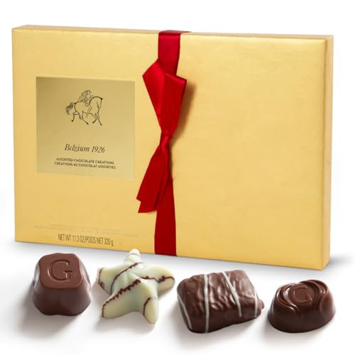 Gourmet Chocolate Gift Box Valentines, 27 Chocolates Pack of Premium Belgium Assorted Chocolate, Ideal for Valentine's Day Gift Basket and Holiday Celebrations 11.3 OZ | Amazon (US)