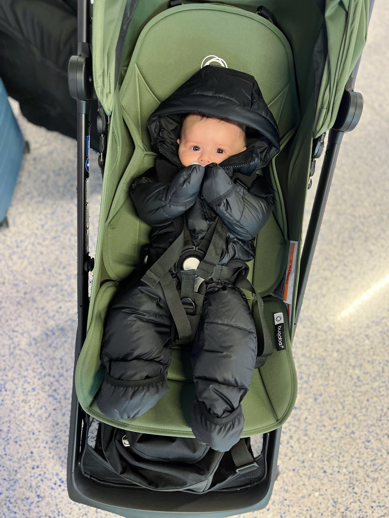 Snow goose loading 🪿travel must have: the bugaboo butterfly stroller — fits in the overhead bin, no check tag needed!
PS this stroller is adaptable for popular car seats such as our Nuna! Linked those too!

& how adorable is this north face snowsuit 🥹

#LTKSaleAlert #LTKBaby #LTKTravel
