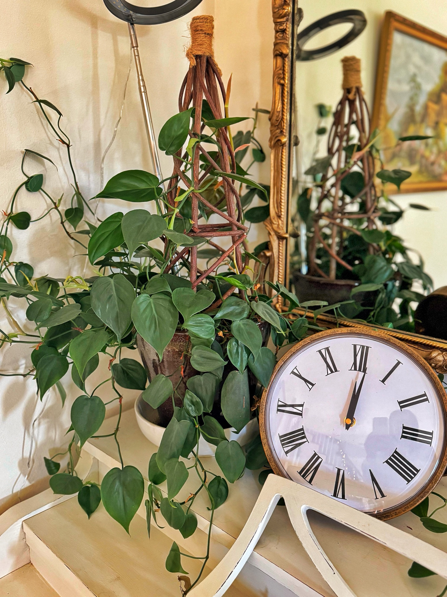 Plant decor in the foyer. Training my heart leaf philodendron to climb the wall and this pretty willow obelisk. Although philodendrons can handle low light they thrive in bright light so I added a plant light to help it thrive. I’ve got a few of these and they work really well! 

#LTKFindsUnder50 #LTKHome