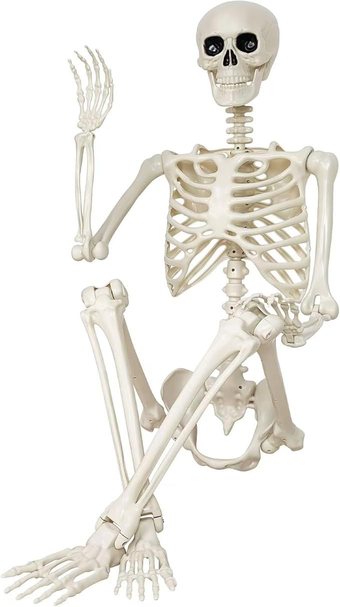 Halloween Skeleton Decorations,36" Posable Human Skeleton Decorations for Halloween Party Decor, ... | Amazon (US)