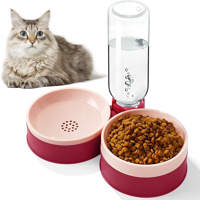 Cat Food Bowl, Cat Bowls Whisker Friendly with Water Dispenser for Cats and Small Dogs | Amazon (US)