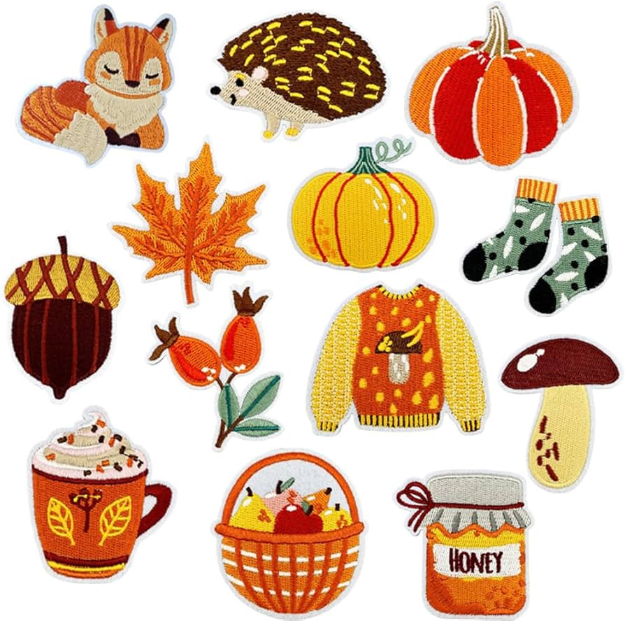 13PCS Fall Iron On Patches, Thanksgiving Day Embroidered Patches, Cute Squirrel Pumpkin Maple Lea... | Amazon (US)