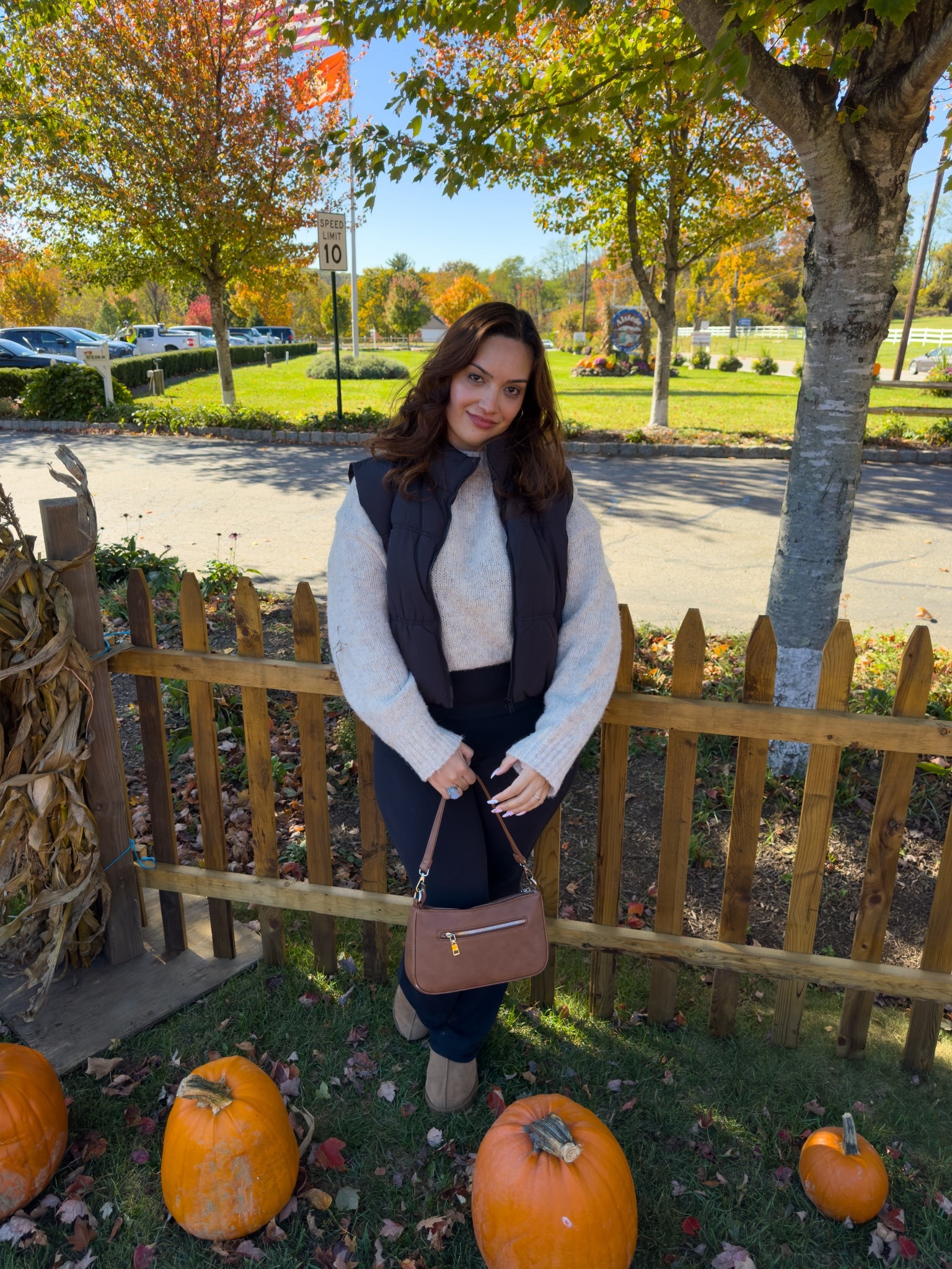 Fall fashion, fall style, fall outfits, fall outfit ideas, fall outfit Inspo, autumn fashion, autumn outfits, minimal style, everyday outfit, effortless style, midsize fashion, midsize style, puffer vest outfits, casual style, casual look, casual outfit, simple outfits, affordable fashion, Amazon fashion, Amazon fashion finds, Ugg Tasman sandals, light layered outfits, Ugg slippers, cozy style, comfy casual, comfy outfits, comfy casual outfits, cozy outfits. 

#LTKStyleTip #LTKMidsize #LTKU