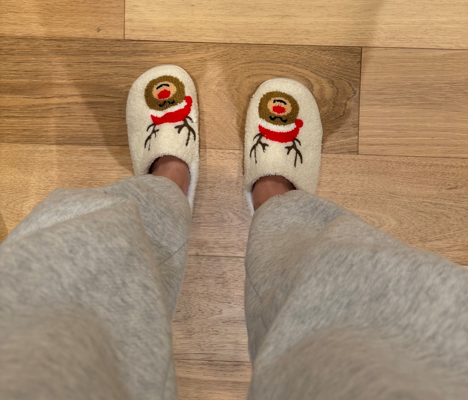 Amazon Christmas slippers on sale for Black Friday. Under $15

#LTKSaleAlert #LTKCyberWeek #LTKHoliday