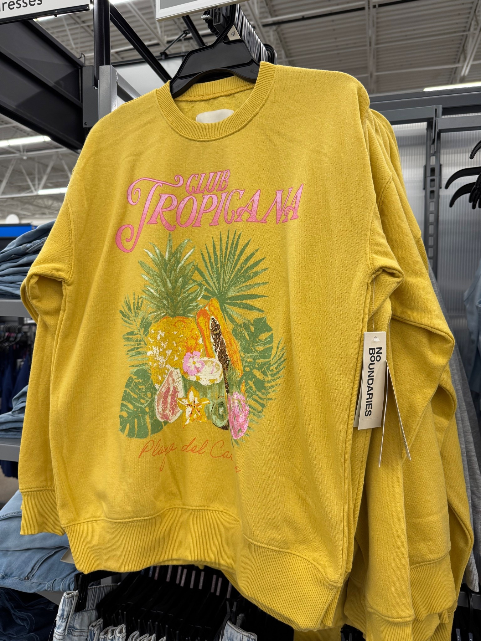 Walmart No Boundaries Graphic Crewneck Sweatshirt, Women's and Women's Plus Sizes XXS-4X

#LTKSeasonal #LTKSwim #LTKTravel