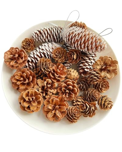 28PCS Christmas Pine Cones, Natural Snow Pinecones Ornaments with String Pendant Crafts, Pine Cones for Christmas Tree, Gift Tag, Pine Cones Decor | Amazon (US)