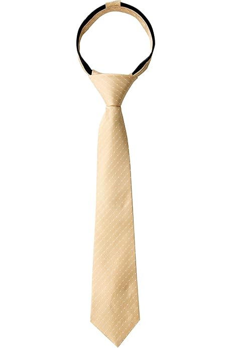 Spring Notion Boys' Satin Zipper Necktie, Optional Gift Box | Amazon (US)