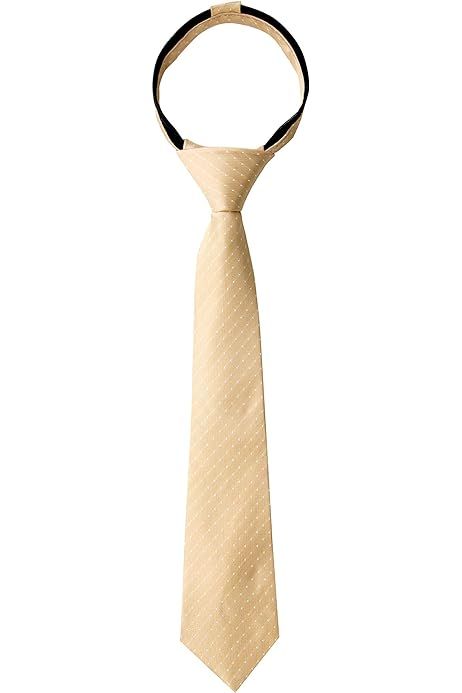 Spring Notion Boys' Satin Zipper Necktie, Optional Gift Box | Amazon (US)