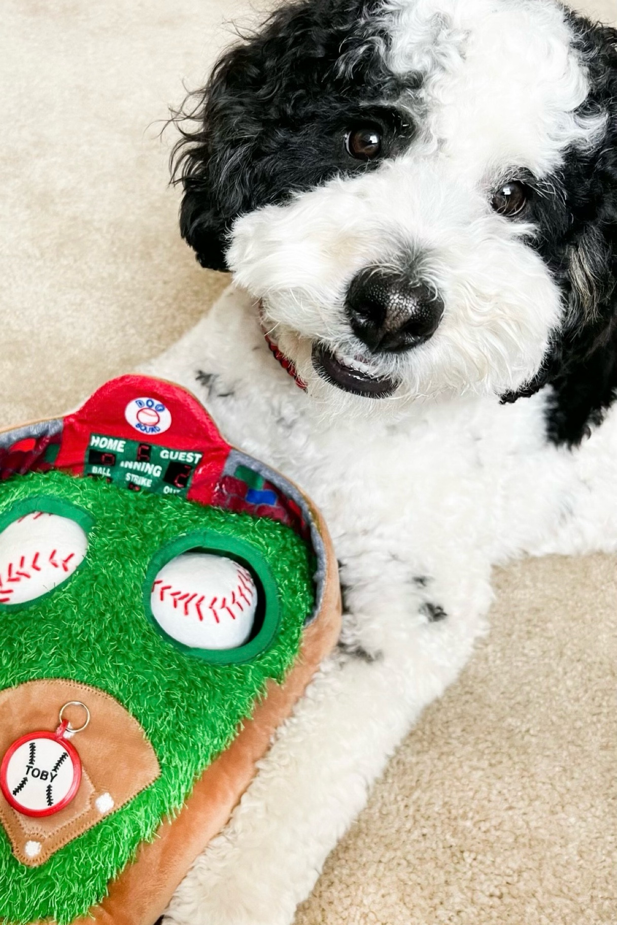 Take me out to the ball game. Dog collar charm and baseball hide n seek toy. Dog baseball charm use code TOBYLUKE to save 10%.

#LTKFind #LTKunder50 #LTKfamily