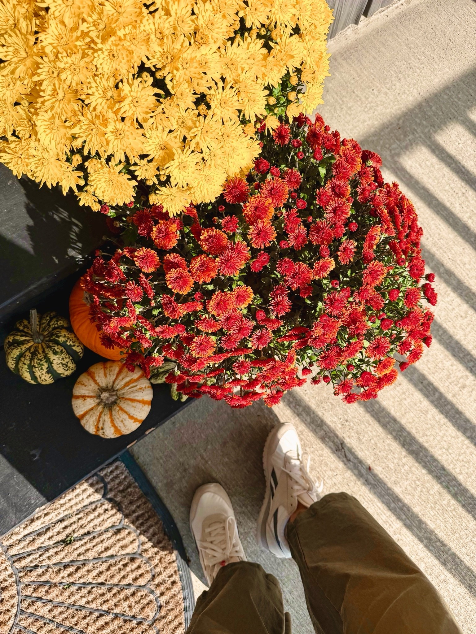 Mums on the porch season!🌼✨

small in my tank, small in my hoodie and XS short/petite in my pants. My sneakers are size 6.5!