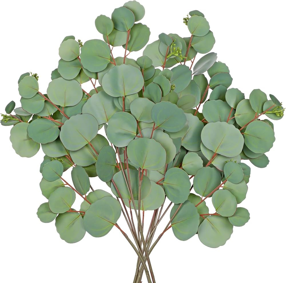 Real Touch Eucalyptus Stems Fake Eucalyptus Leaves 30” Long Silver Dollar Leaves 6 Branches Fau... | Amazon (US)