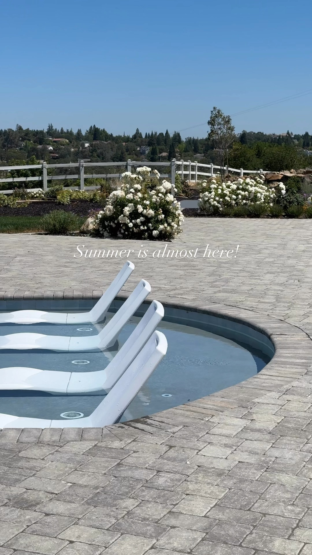 Loving these new weighted loungers!  Can’t wait for summer!  Also loving our new chaise loungers with Sunbrella fabric and an iron frame!  These will last forever!!!

#LTKFamily #LTKSeasonal #LTKHome