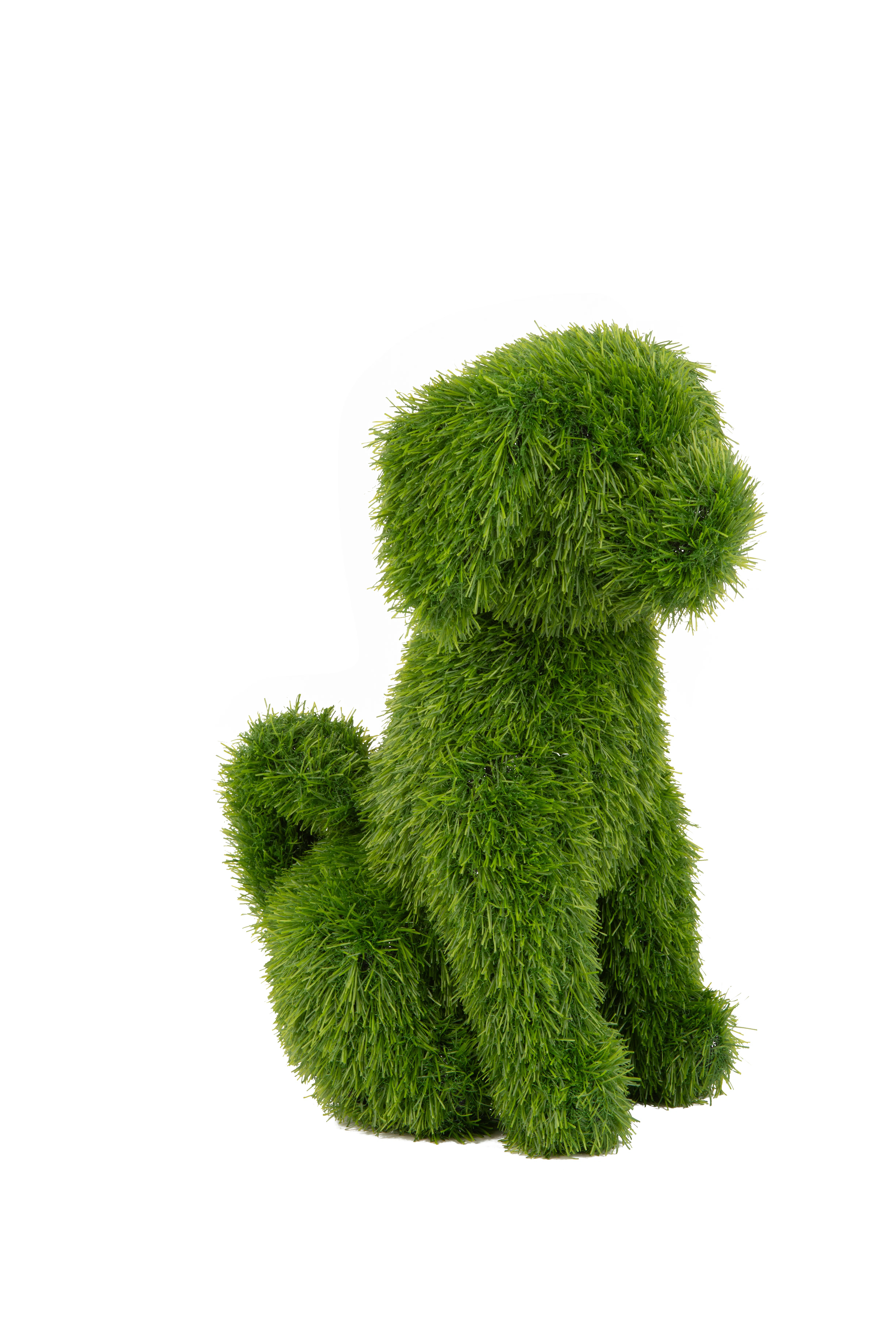 Winston Porter 4D1FA31A7DCB41419FEC86067253DA54 | Wayfair | Wayfair North America