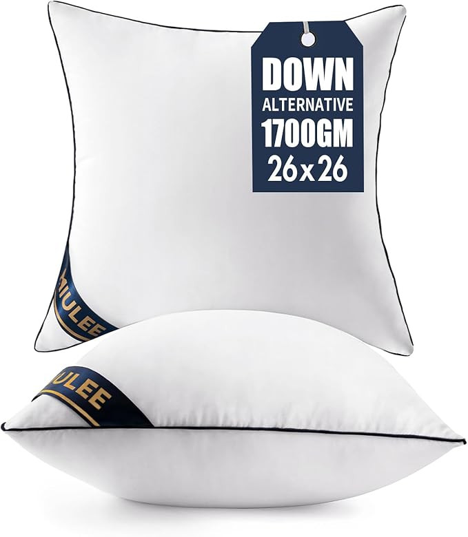 MIULEE 26x26 Euro Pillow Inserts Set of 2 Throw Pillows 26 Inch Premium Down Alternative Pillow I... | Amazon (US)