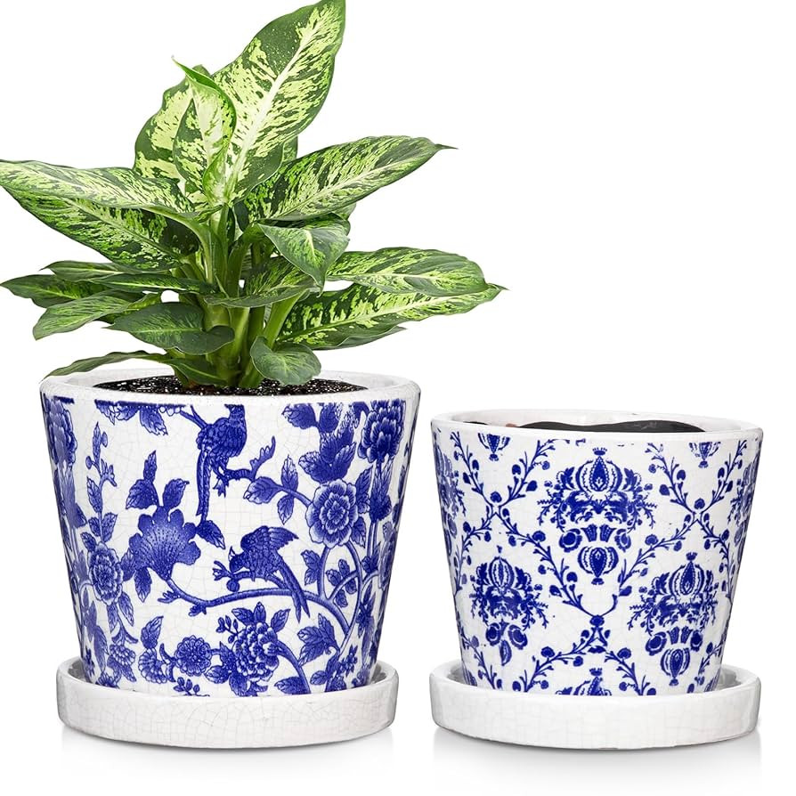 Blue and White Ceramic Pots for Plants, 4.8" + 5.5" Decorative Plant Pots Round Ceramic Planters ... | Amazon (US)